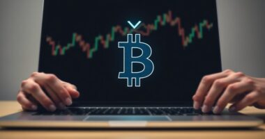 bitcoin price concerns arise