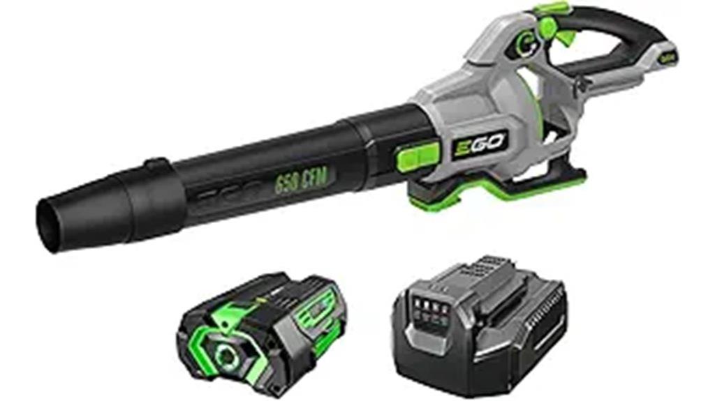 cordless leaf blower kit