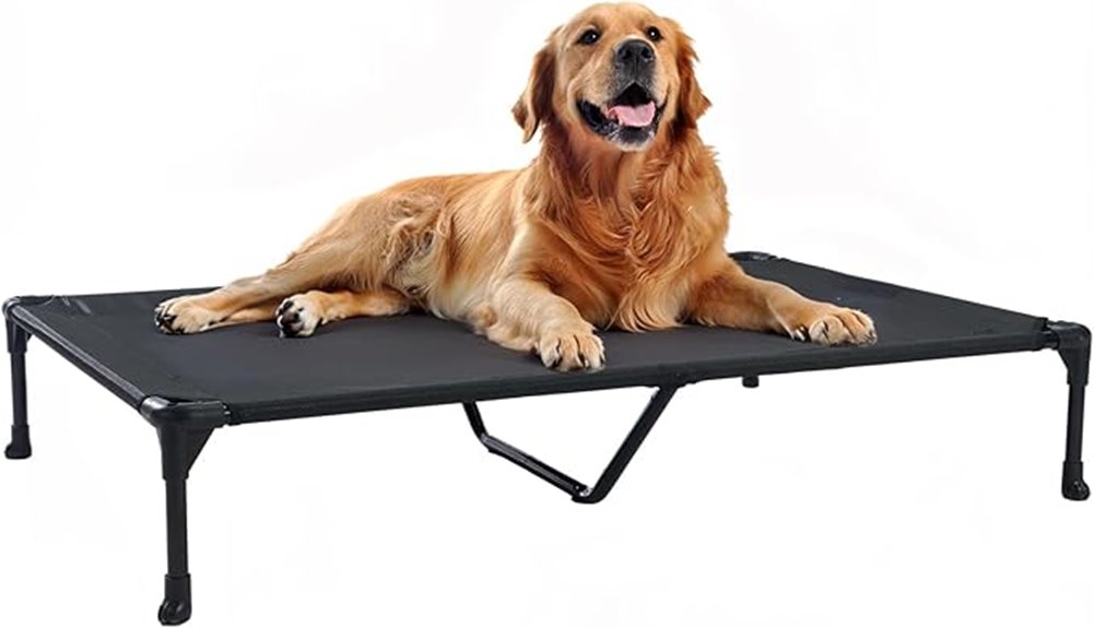 dog bed with washable mesh