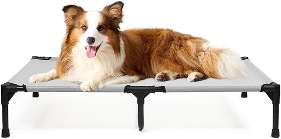 large dog cot bed