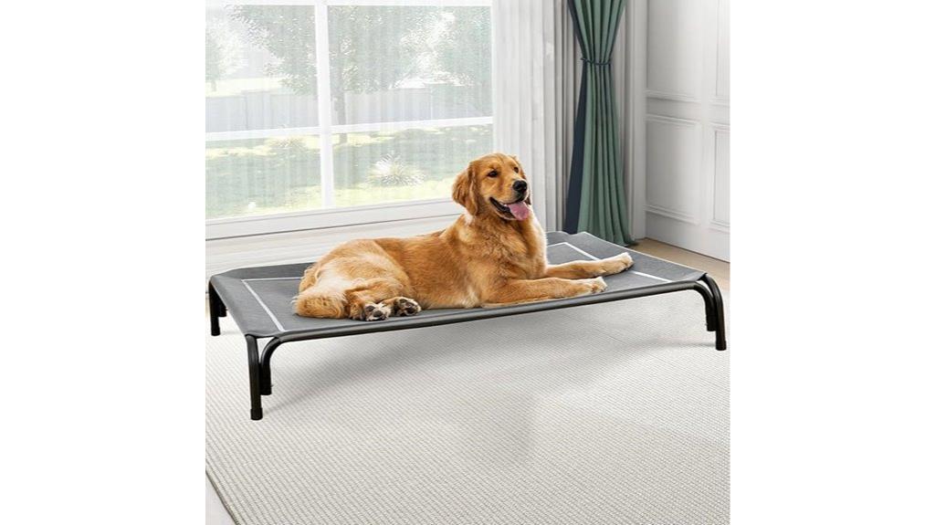 large dog raised bed