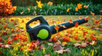 top cordless leaf blower picks