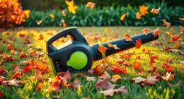 top cordless leaf blower picks