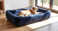 top orthopedic dog bed picks