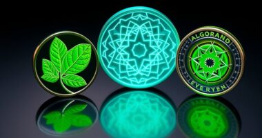 eco friendly cryptocurrency options