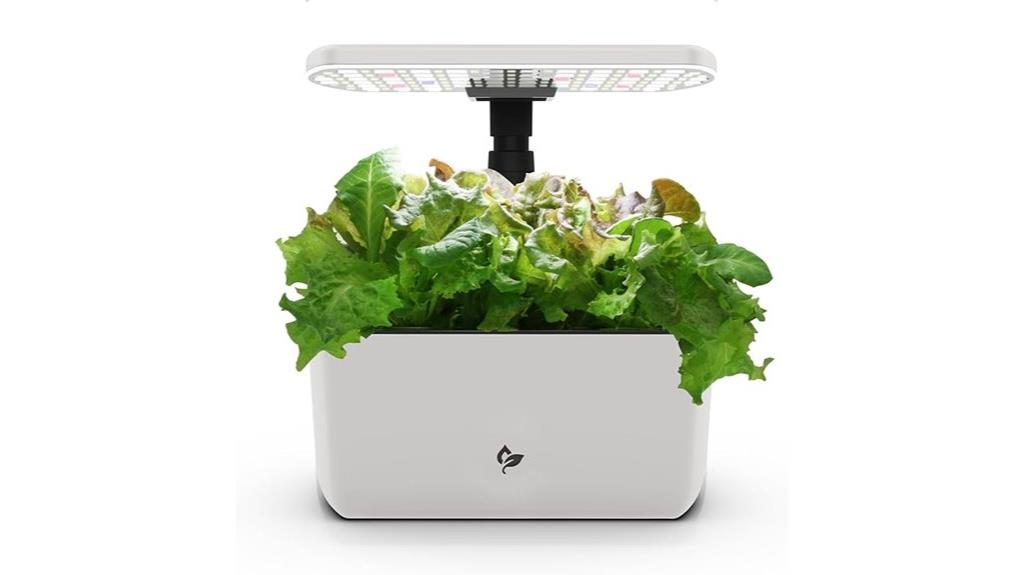 indoor hydroponic herb garden