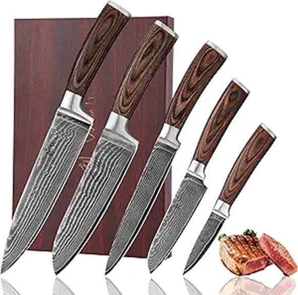 Damascus Chef Knife Set with VG10 Blades
