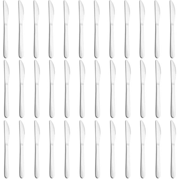 36-Piece Stainless Steel Butter Knife Set