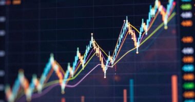 altcoin adoption versus value
