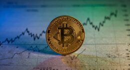 bitcoin and liquidity cycles