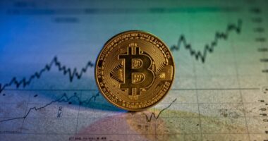 bitcoin and liquidity cycles