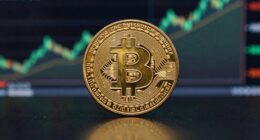 bitcoin as asset benchmark