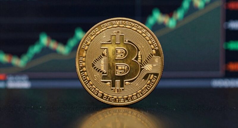 bitcoin as asset benchmark