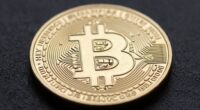 bitcoin s unique market position