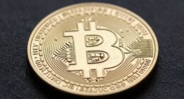 bitcoin s unique market position