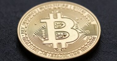 bitcoin s unique market position