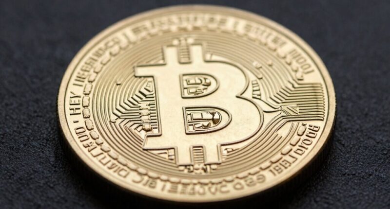 bitcoin s unique market position