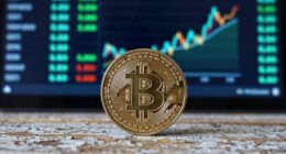 bitcoin s value and innovation