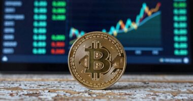 bitcoin s value and innovation