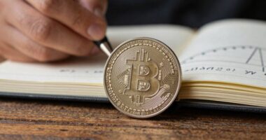 patience in cryptocurrency investment