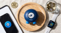 RHEO on Steam: One Toy, Every Screen