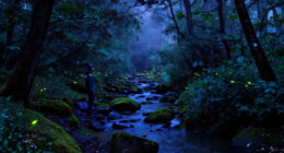 What Inspired “Luciole — The Synchronous Fireflies Of Vallon Creux”?